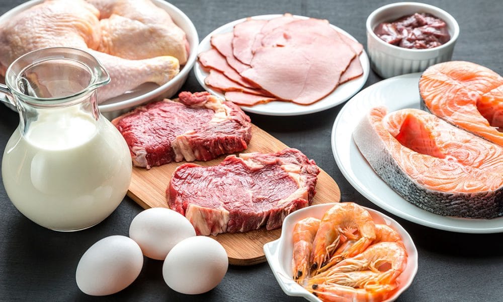 La dieta de las proteínas, se basa en un aumento del consumo de alimentos ricos en proteínas como las carnes y los huevos..